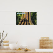 Größter aufgezeichneter Baum in BC 1896 Zedernbaum Poster (Küche)