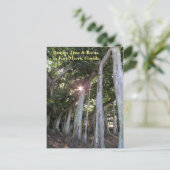 Größter Banyan Baum Fort Myers Florida Postcard Postkarte (Stehend Vorderseite)