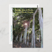 Größter Banyan Baum Fort Myers Florida Postcard Postkarte (Vorne/Hinten)