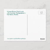 Größter Banyan Baum Fort Myers Florida Postcard Postkarte (Rückseite)