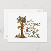 Größtes Lebewesen Postkarte (Vorne/Hinten)