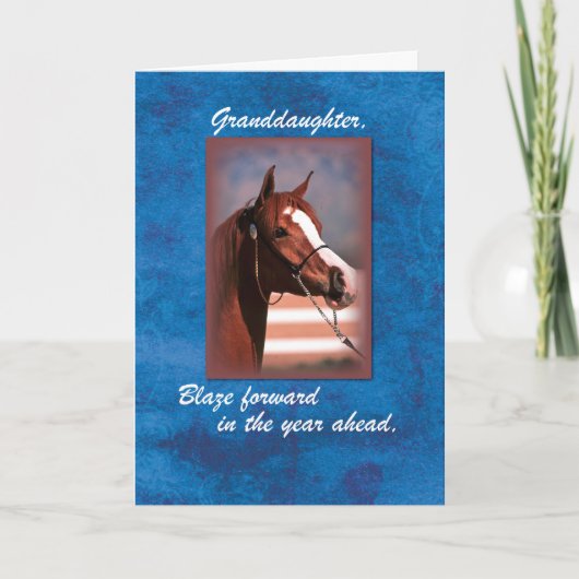 Großtochter Birthday Horse on Blue Karte (Vorderseite)