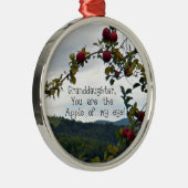 Großtochter, Du bist der Apfel meines Auges! Silbernes Ornament (Rechts)