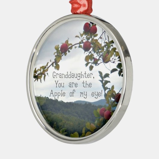 Großtochter, Du bist der Apfel meines Auges! Silbernes Ornament (Links)