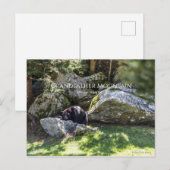 Großvater-Bergpark Postkarte (Vorne/Hinten)