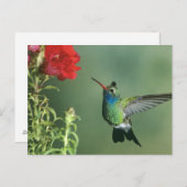 Großzügelmännchen Postkarte (Vorne/Hinten)