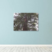 Großzügiger Baum Leinwanddruck (Insitu (Holzboden))