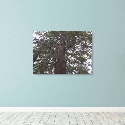 Großzügiger Baum Leinwanddruck (Insitu (Holzboden))