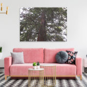 Großzügiger Baum Leinwanddruck (Insitu (Wohnzimmer))