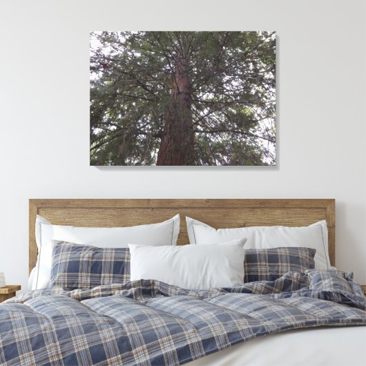 Großzügiger Baum Leinwanddruck (Insitu (Schlafzimmer))