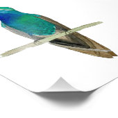 Großzügiger Hummingvogel auf einem Zweig Fotodruck (Ecke)