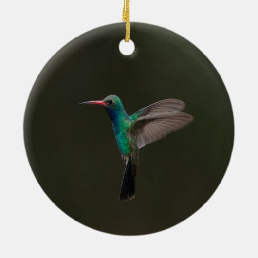 Großzügiger Kolibri Keramik Ornament (Hinten)