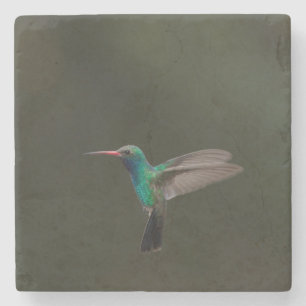 Großzügiger Kolibri Steinuntersetzer