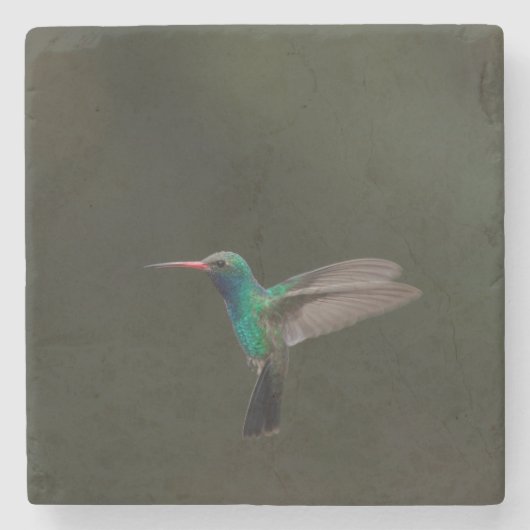 Großzügiger Kolibri Steinuntersetzer (Vorderseite)