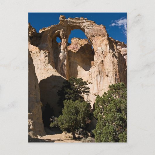 Grosvenor Arch Postkarte (Vorderseite)