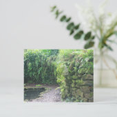 Grotto des Teiches Postkarte (Stehend Vorderseite)