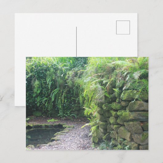 Grotto des Teiches Postkarte (Vorne/Hinten)