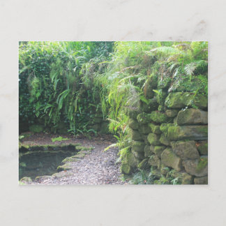 Grotto des Teiches Postkarte