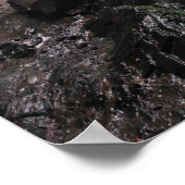 Grotto Falls Smoky Mountain Nat'l Park Poster (Ecke)