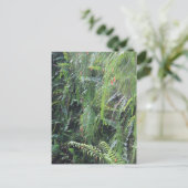 Grotto Fern Postkarte (Stehend Vorderseite)