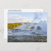Grotto Geyser, Yellowstone Nationalpark Postkarte (Vorne/Hinten)