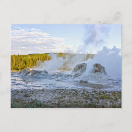 Grotto Geyser, Yellowstone Nationalpark Postkarte