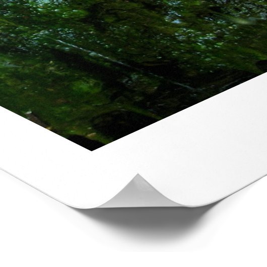 Grotto Springs 2 Kunstfotografie Poster (Ecke)