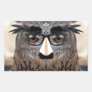 Groucho Marx Eagle Owl Rechteckiger Aufkleber