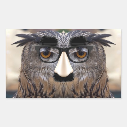 Groucho Marx Eagle Owl Rechteckiger Aufkleber (Vorderseite)