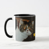 Grouchy Exotic Shorthair “WHAT?” Judgy Cat Tasse (Links)