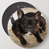Grouchy French Bulldog Button (Vorne & Hinten)
