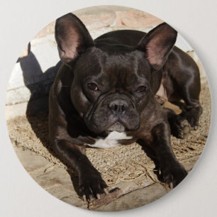 Grouchy French Bulldog Button