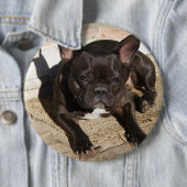Grouchy French Bulldog Button (Beispiel)