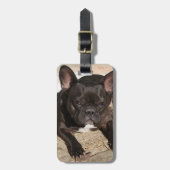Grouchy French Bulldog Gepäckanhänger (Vorderseite vertikal)