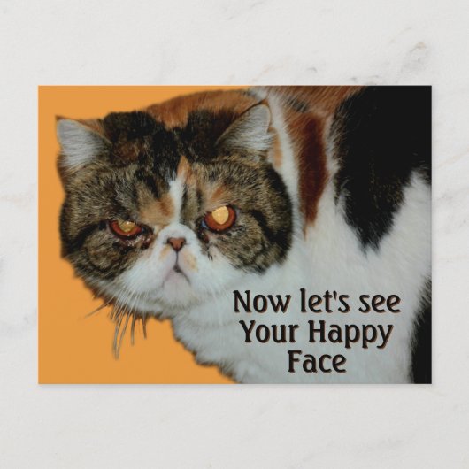 Grouchy Grumpy Cat Exotic Kurz haar Persian Postkarte (Vorderseite)