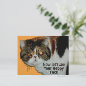 Grouchy Grumpy Cat Exotic Kurz haar Persian Postkarte (Stehend Vorderseite)
