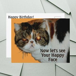 Grouchy Grumpy Cat Exotic Kurz haar Persian Postkarte
