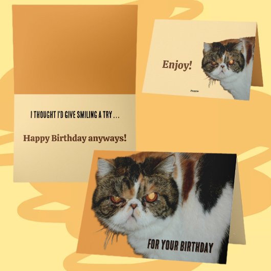 Grouchy Grumpy Cat Exotic Persian Funny Birthday Karte