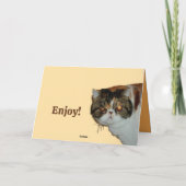 Grouchy Grumpy Cat Exotic Persian Funny Birthday Karte (Rückseite)