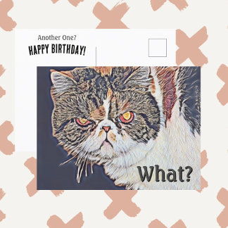 Grouchy Grumpy Cat Funny Birthday Postkarte