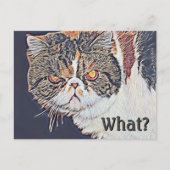 Grouchy Grumpy Cat Funny Birthday Postkarte (Vorderseite)