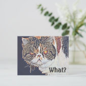 Grouchy Grumpy Cat Funny Birthday Postkarte (Stehend Vorderseite)