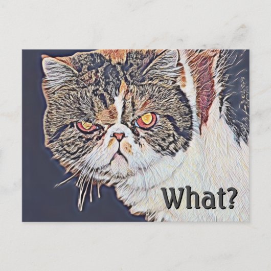 Grouchy Grumpy Cat Funny Birthday Postkarte (Vorderseite)