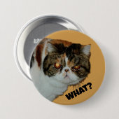 Grouchy Grumpy Cat Was? Funny Fotografy Button (Vorne & Hinten)