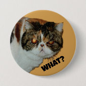 Grouchy Grumpy Cat Was? Funny Fotografy Button (Vorderseite)