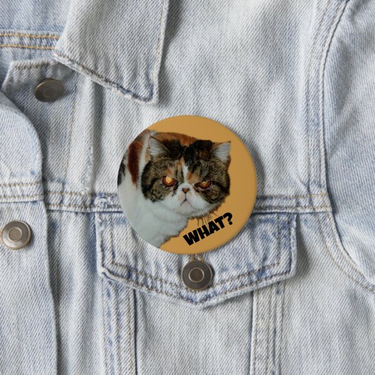 Grouchy Grumpy Cat Was? Funny Fotografy Button (Beispiel)