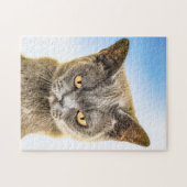GROUCHY NIEDLICH KITTY CAT ART JIGSAW PUZZLE (Horizontal)