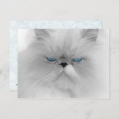 Grouchy Persian Cat Postkarte (Vorne/Hinten)
