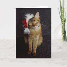 Grouchy Somali Cat in Weihnachtsmannmütze Weihnach Feiertagskarte