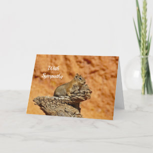 Ground Eichhörnchen 2 Sympathiekarte Karte